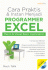 Cara Praktis & Instan Menjadi Programmer Excel: Macro & Visual Basic Application
